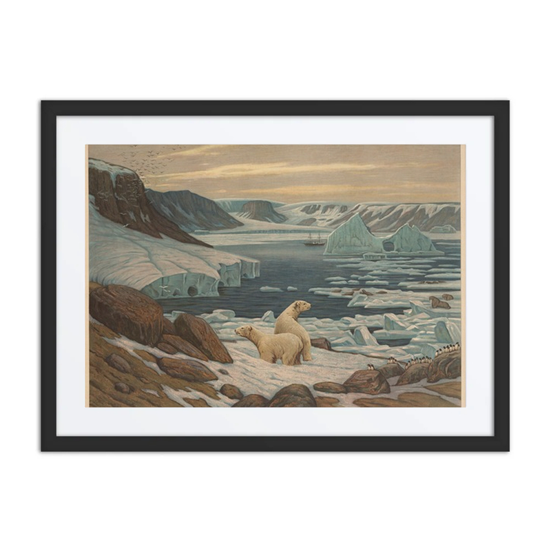 Polar Landscape