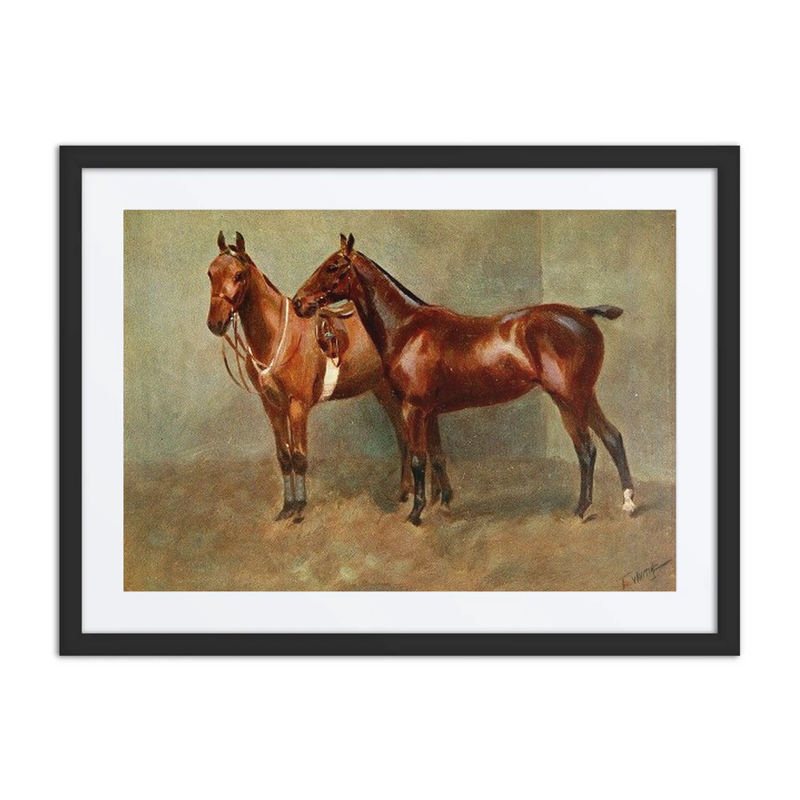 Polo Ponies, Romany and Tith