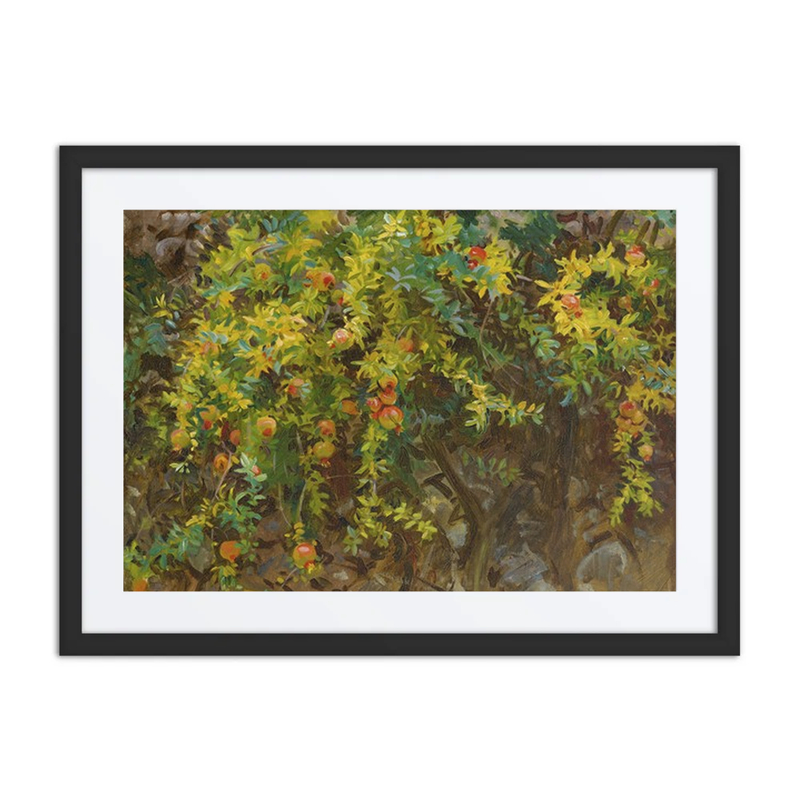 Pomegranates, Majorca