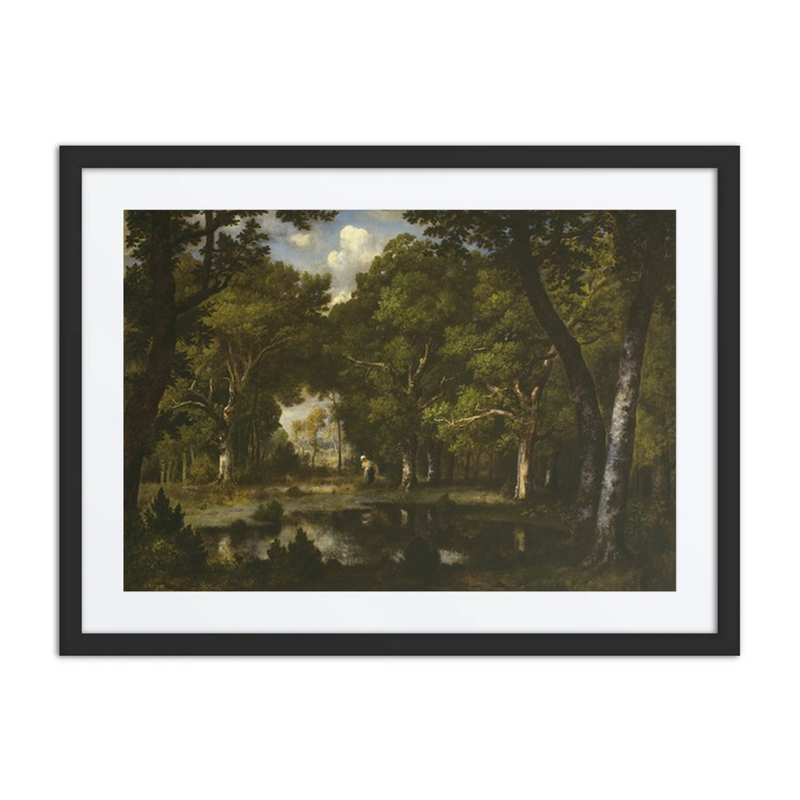 Pond in the Woods