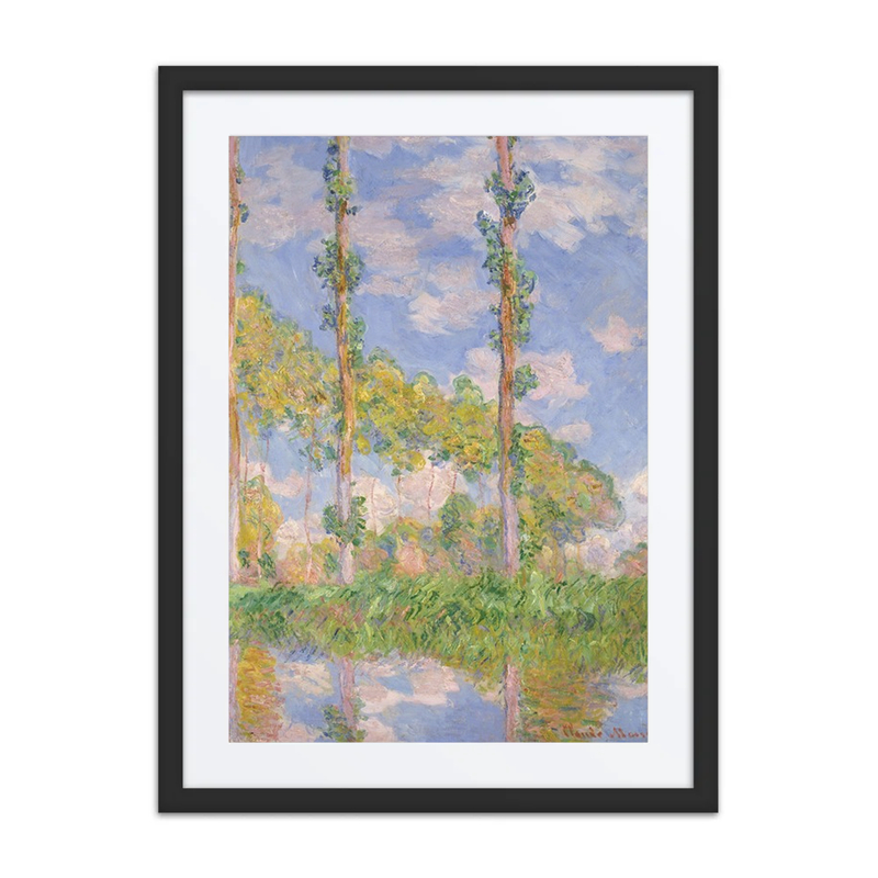 Poplars in Sunlight