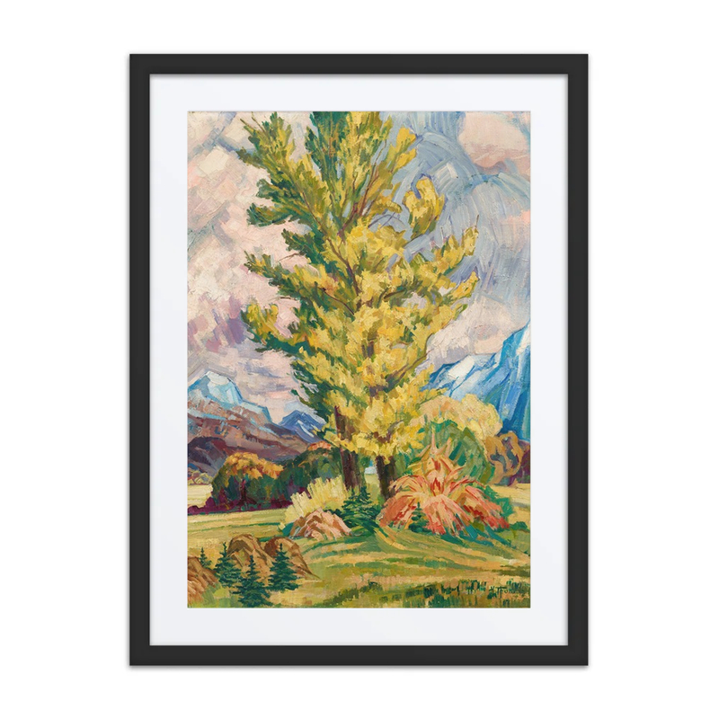 Poplars in the Sun