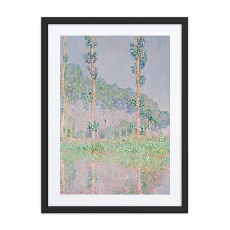 Poplars, Pink Effect