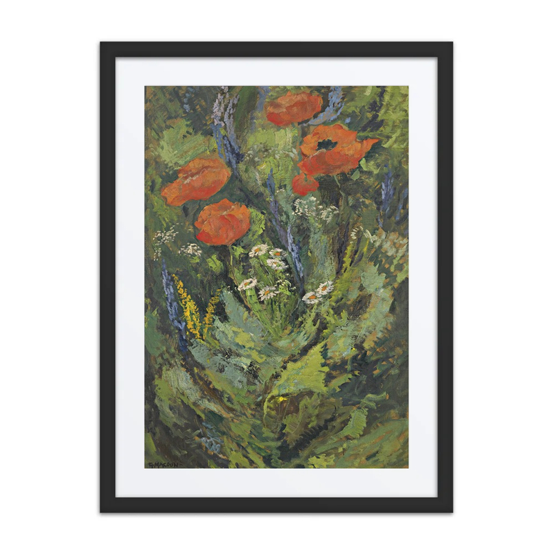 Poppies