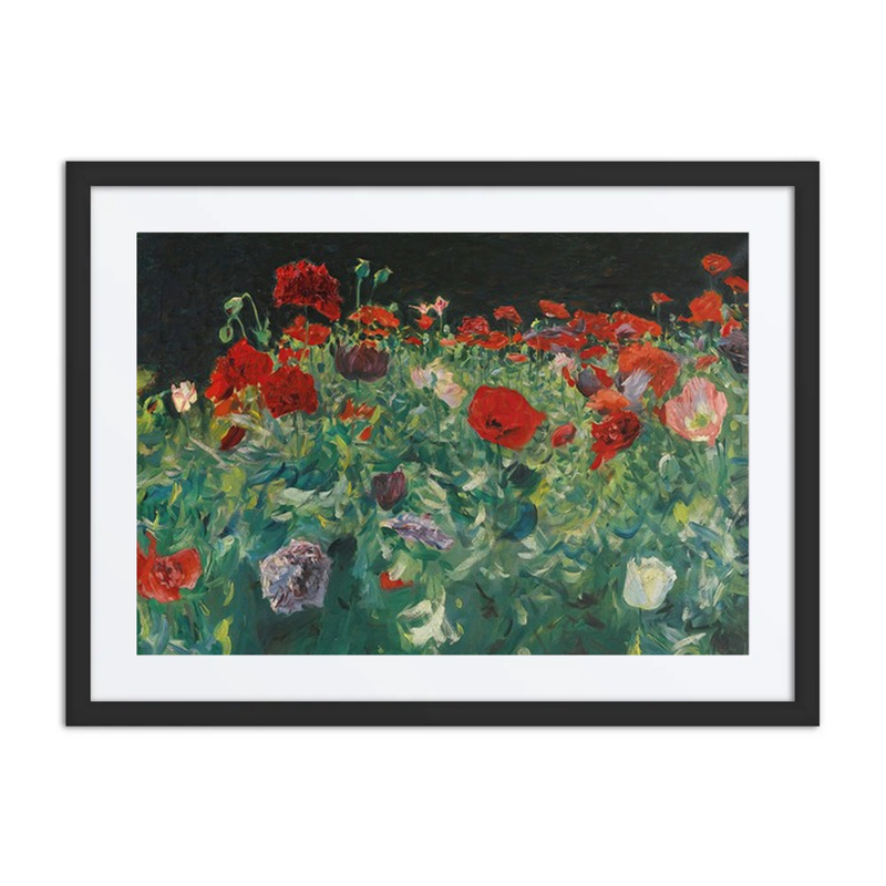 Poppies