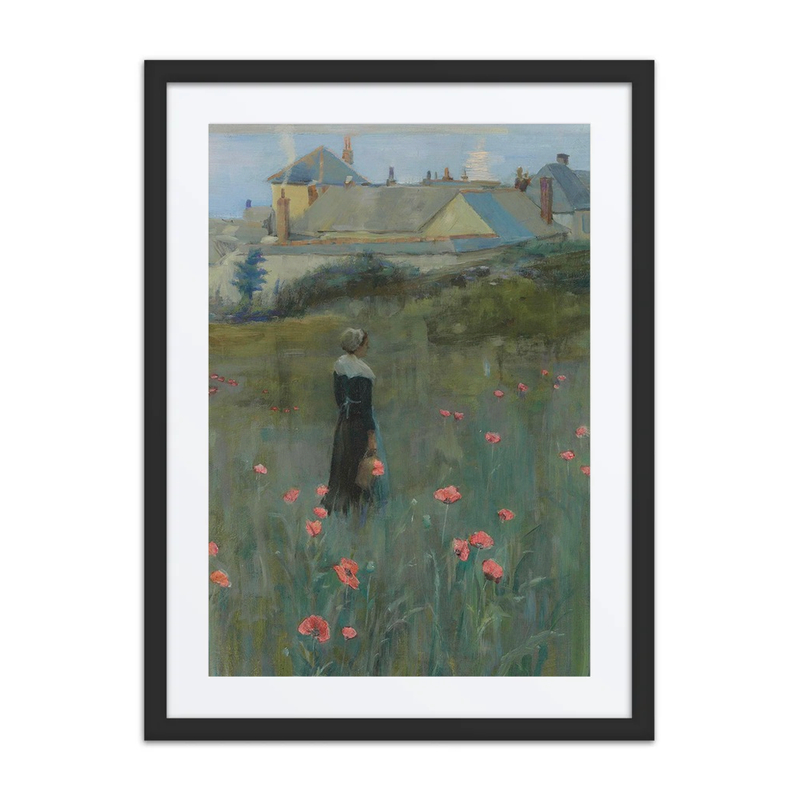 Poppies