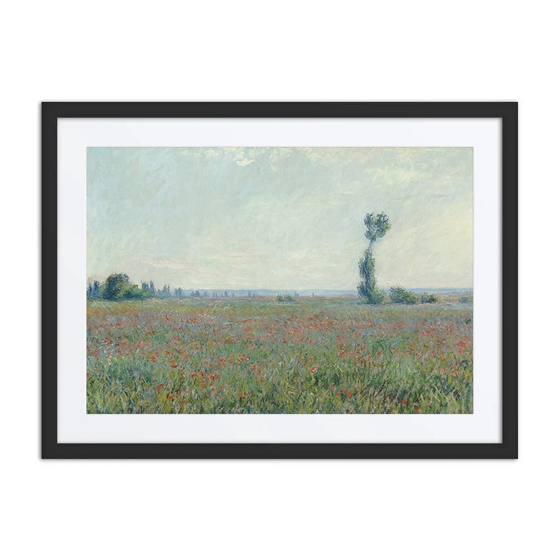 Poppy Field