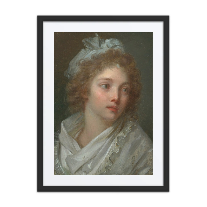 Portrait of a Young Lady