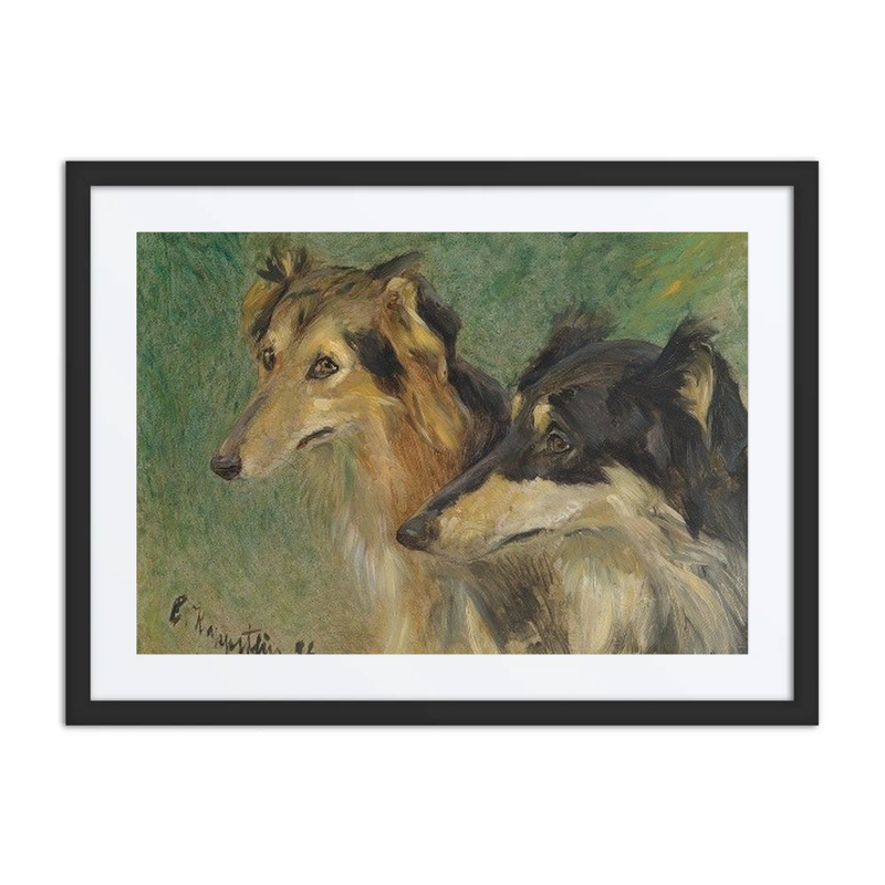 Portrait of Two Borzoi Dogs