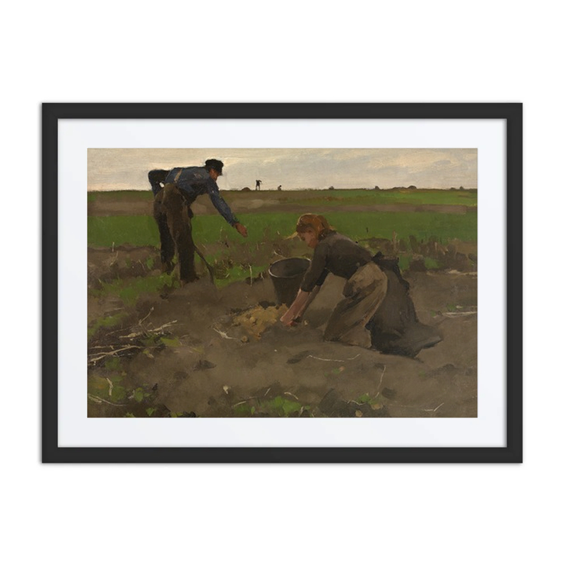Potato Diggers