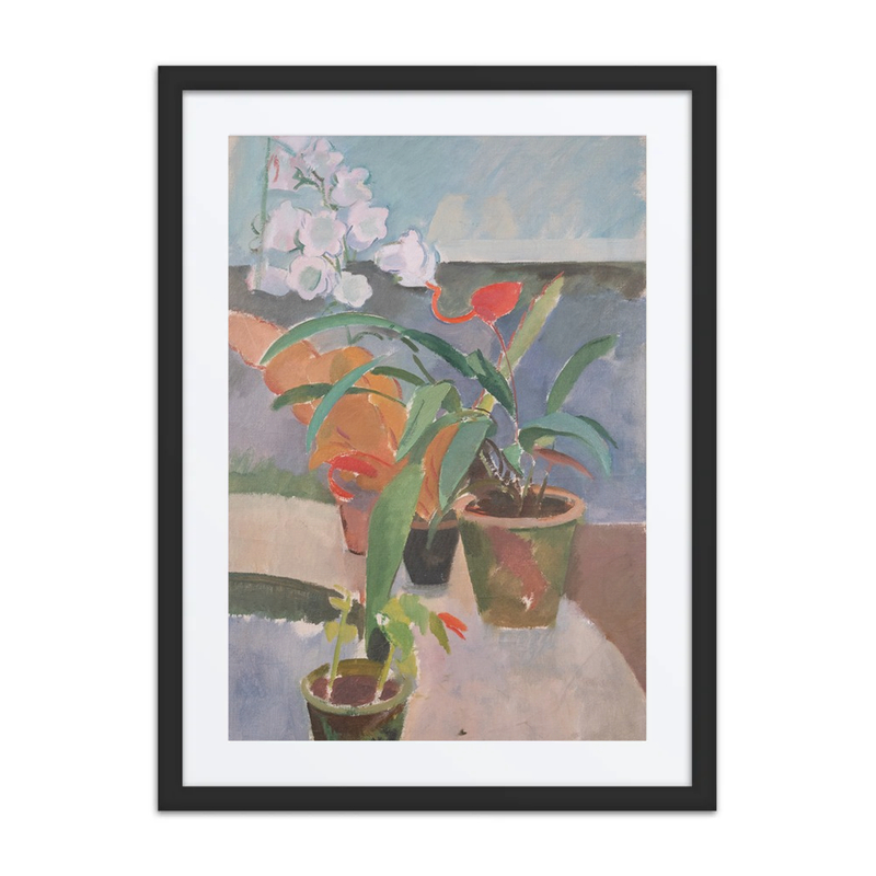 Potted Plants
