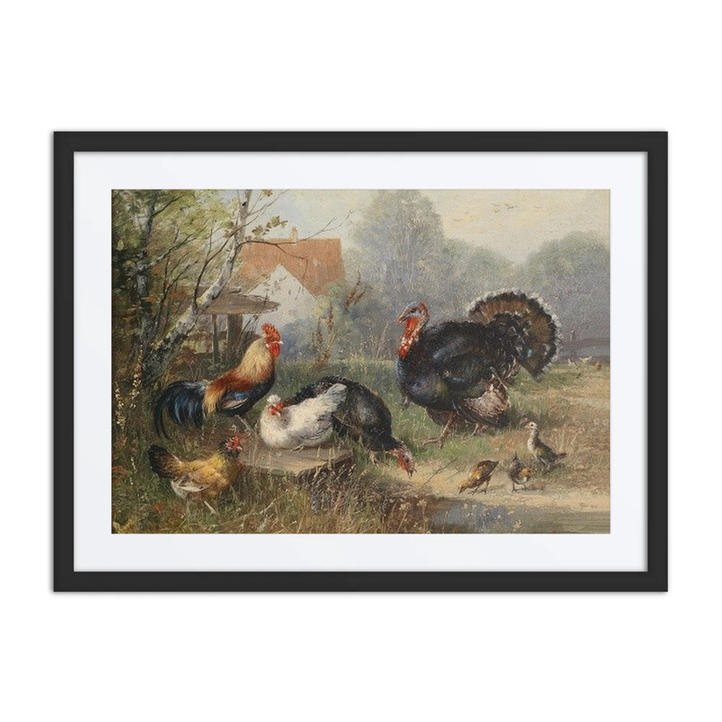 Poultry and a Turkey