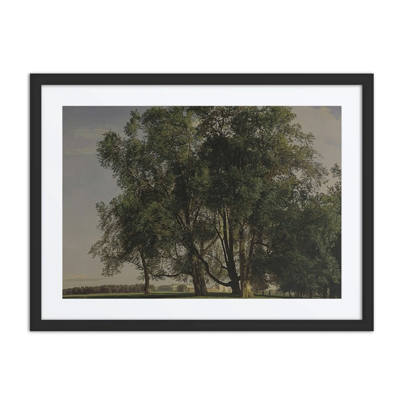 Prater Landscape
