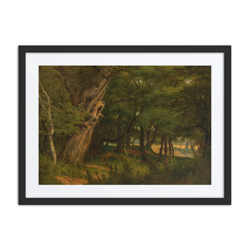 Prater Landscape