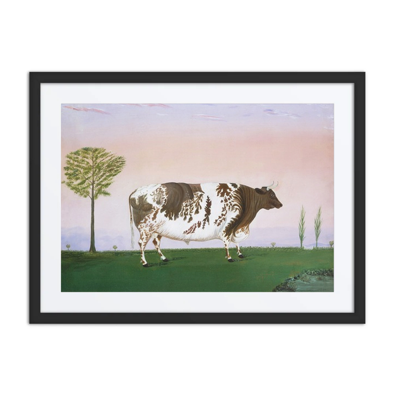 Prize Bull