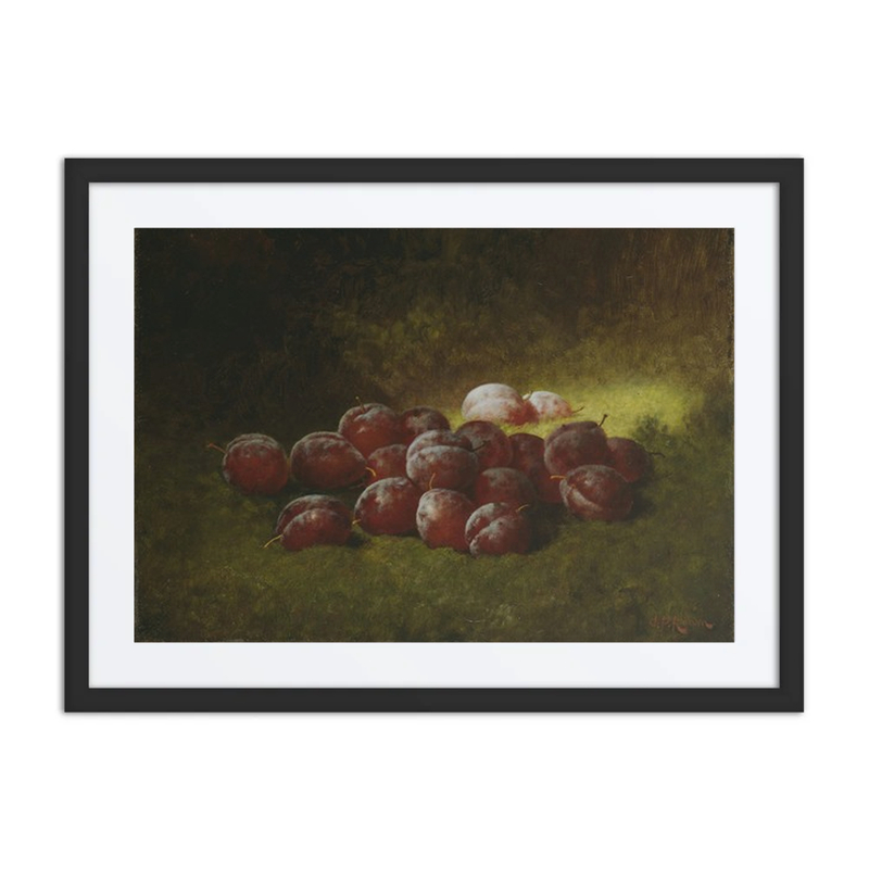 Purple Plums