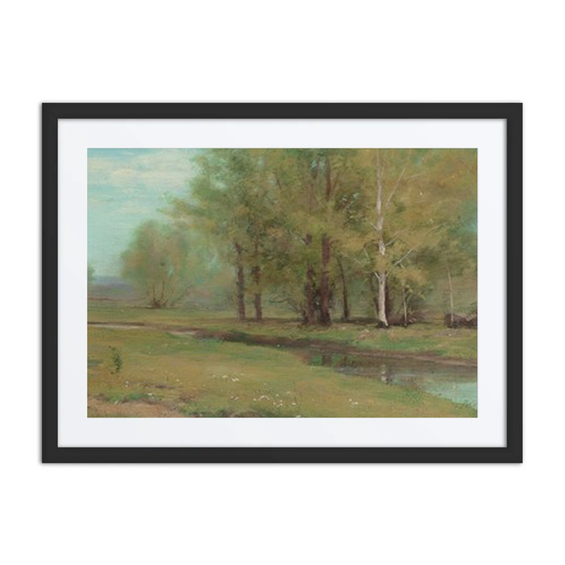 Quiet Stream at a Forest’s Edge