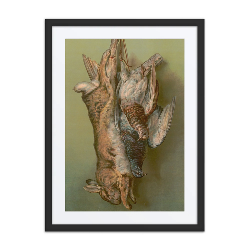 Rabbit and Pigeon