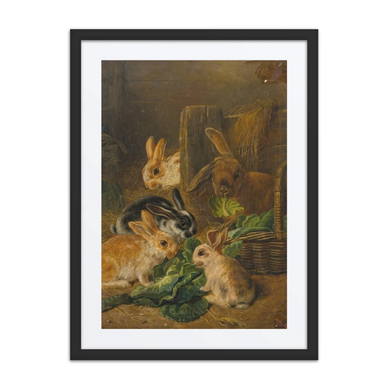 Rabbits