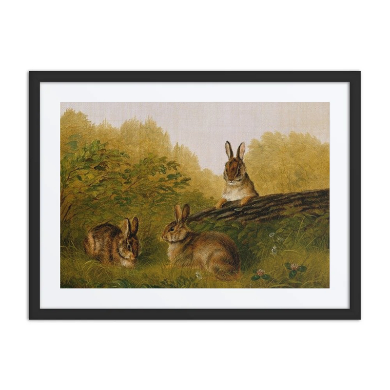 Rabbits on a Log