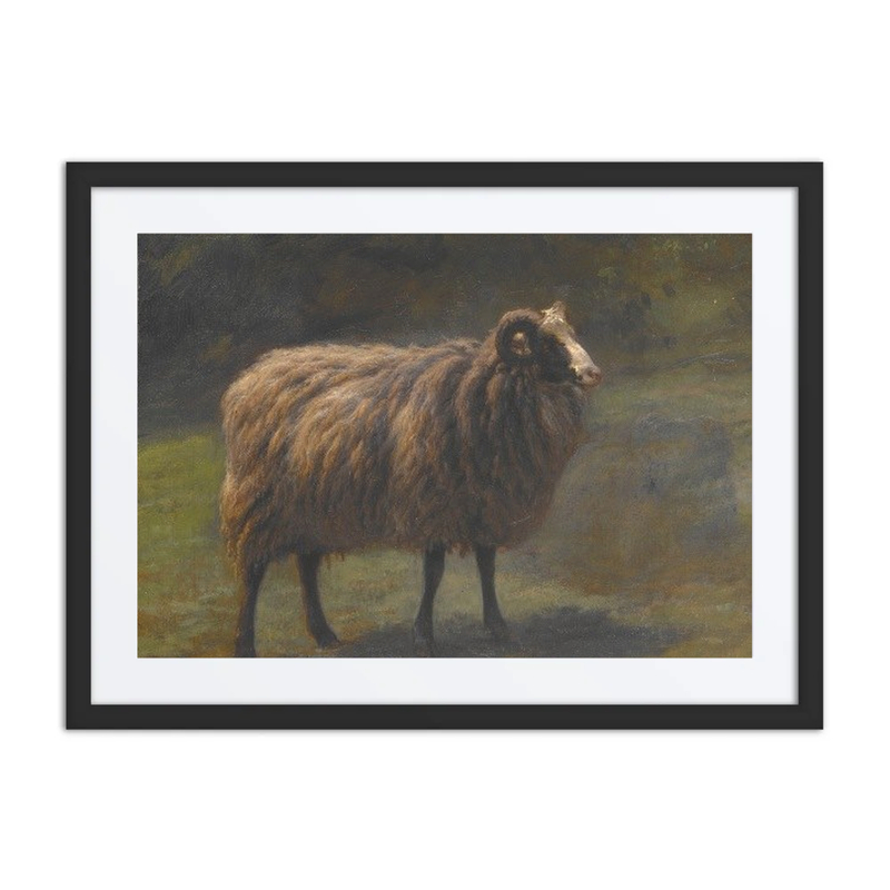 Ram