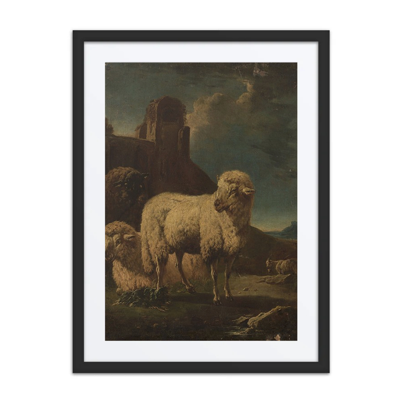 Rams with Ruins in the Background