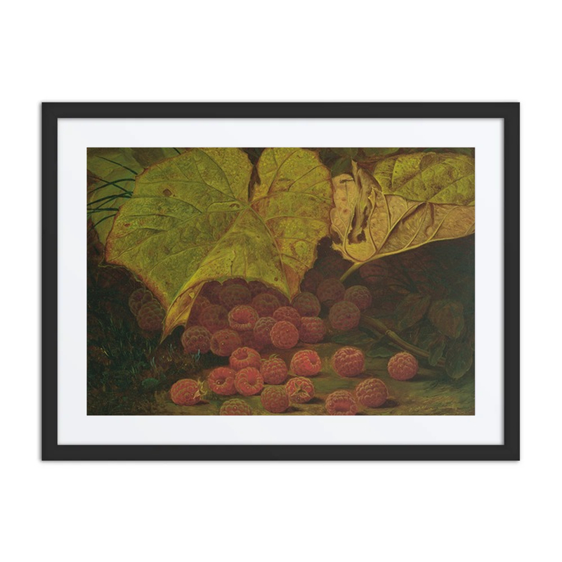 Raspberries Among the Leaves