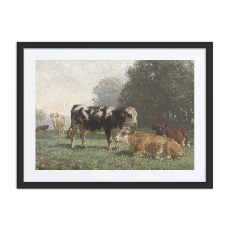 Rastende Kühe Auf Der Weide (Cows Resting in the Meadow)