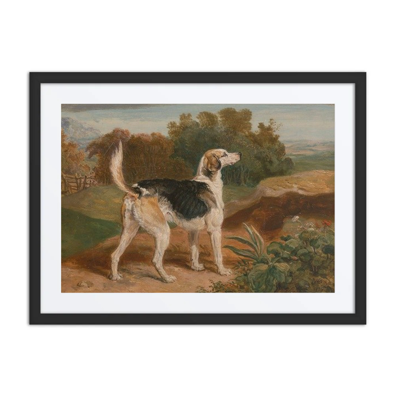 Ravager, One of the Lambton Hounds