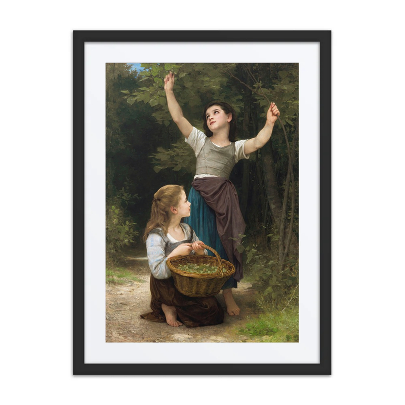 Récolte de Noisettes