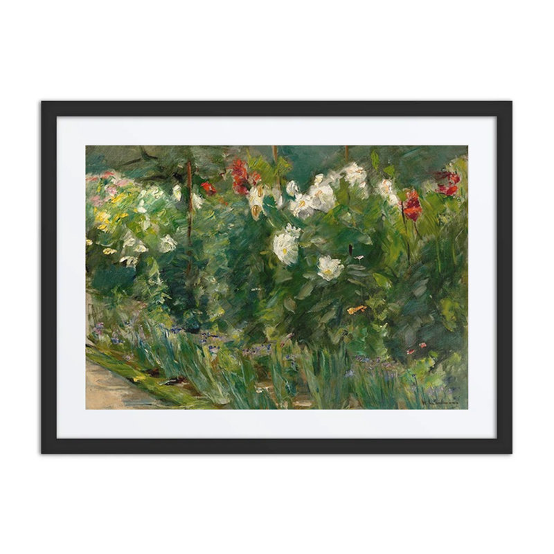 Red and White Flowers