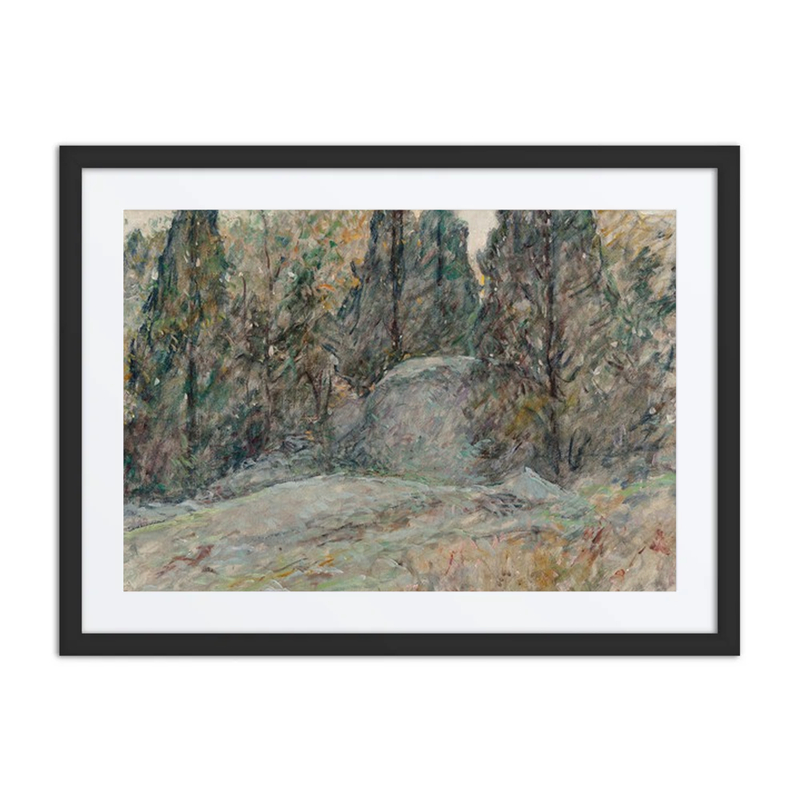 Red Cedars and Rocks