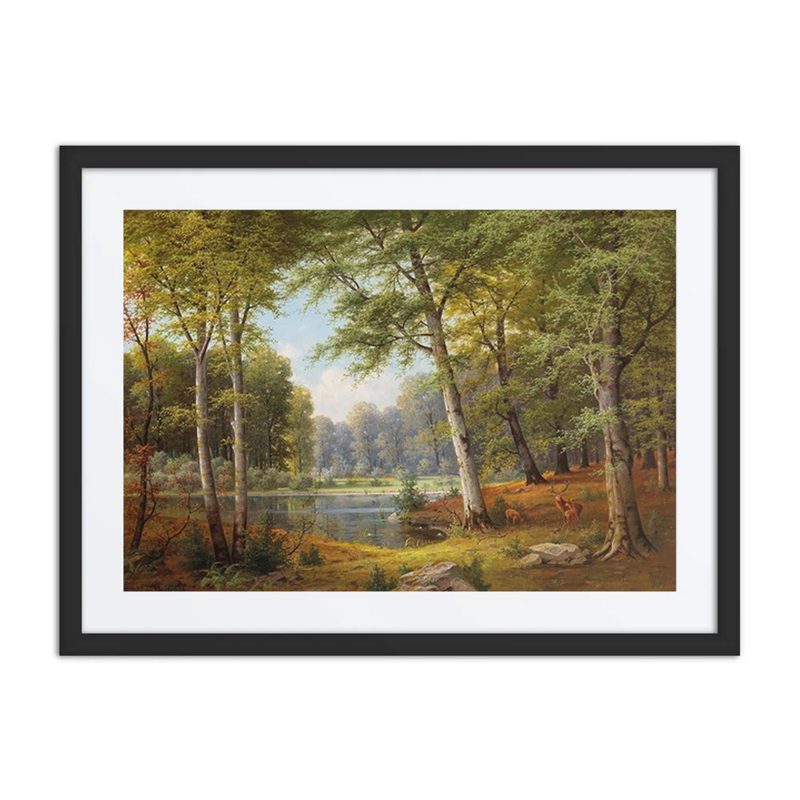 Red Deer at the Forest Pond