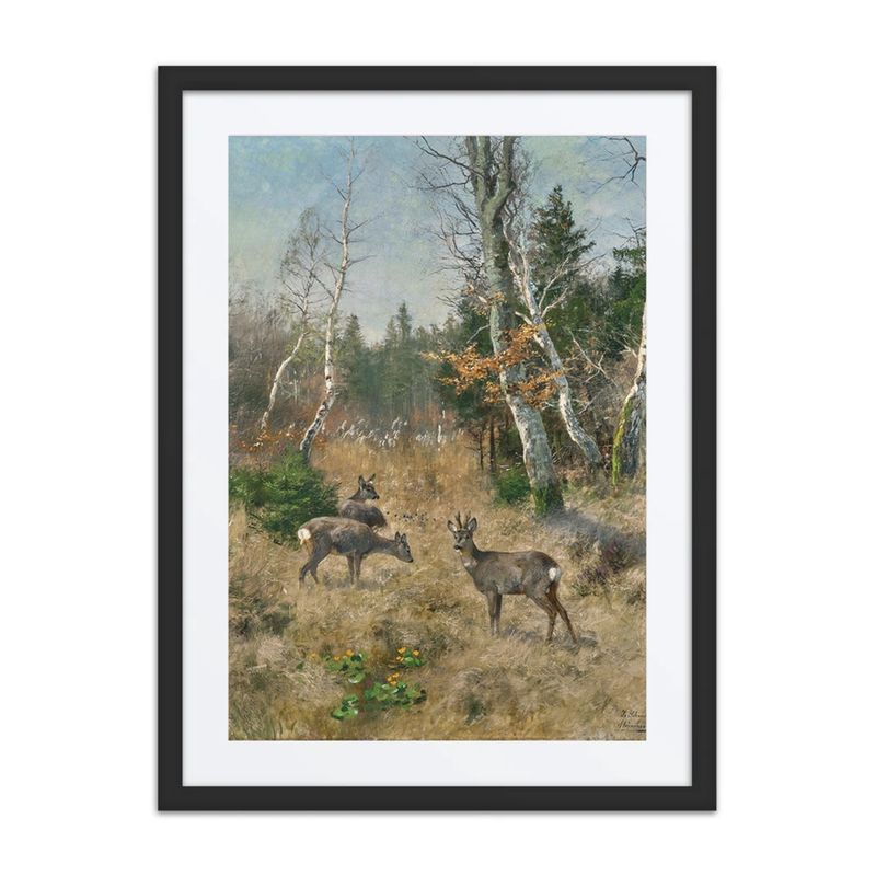 Red Deer in a Forest Glade