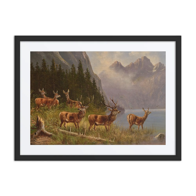 Red Deer on the Lakeside