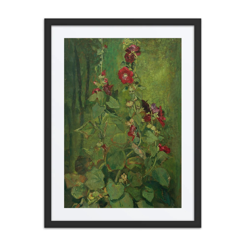Red Hollyhocks