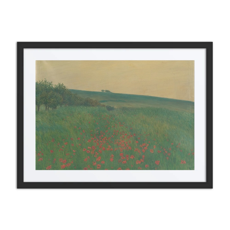 Red Poppies