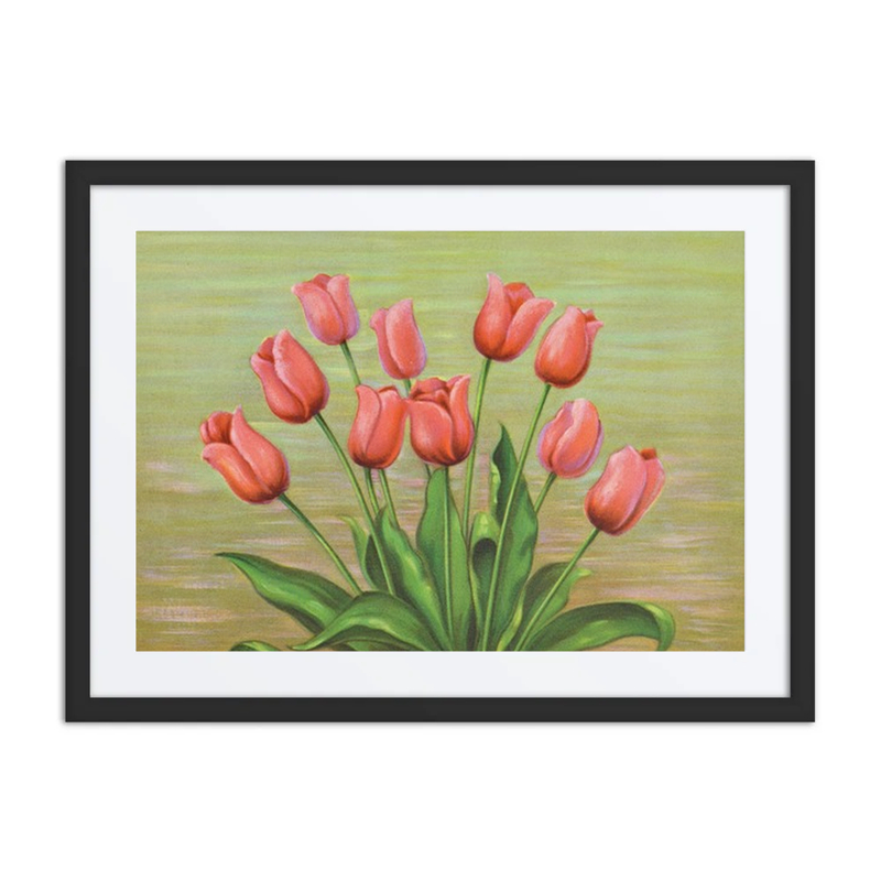 Red Tulips