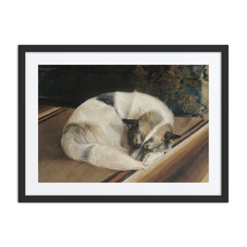 Reposing Dog