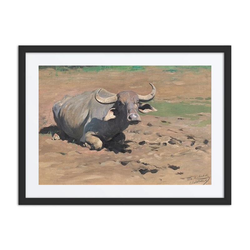 Resting Buffalo
