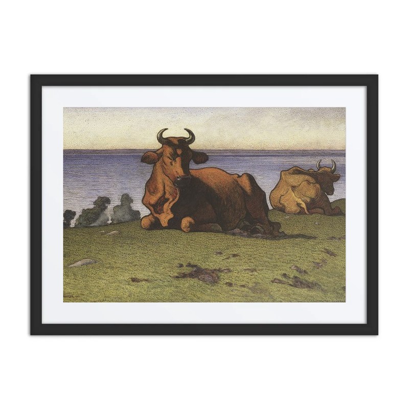 Resting Cows