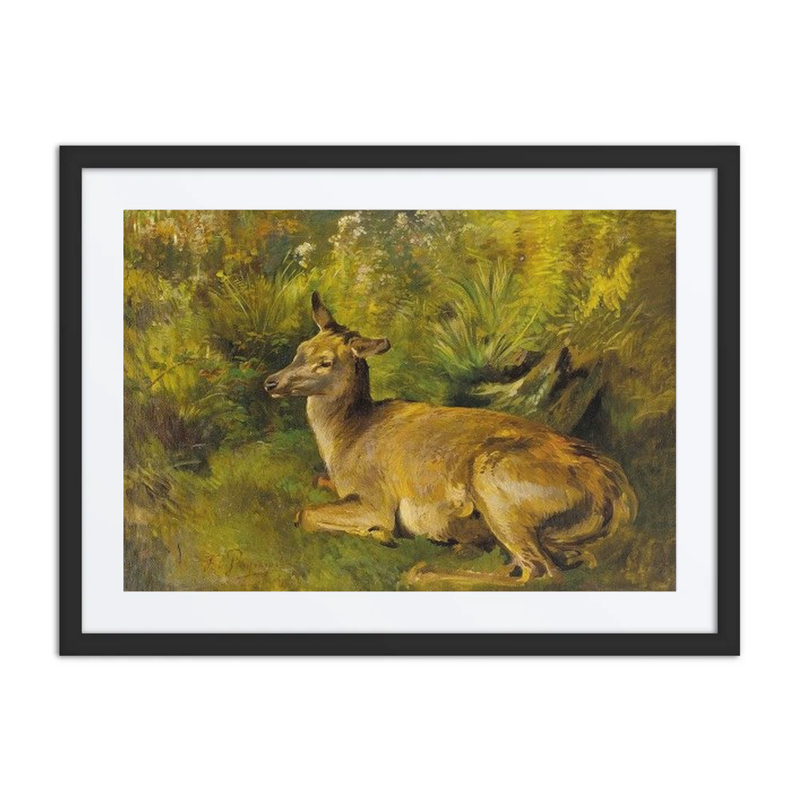 Resting Doe