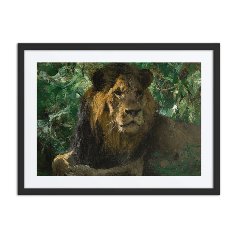 Resting Lion