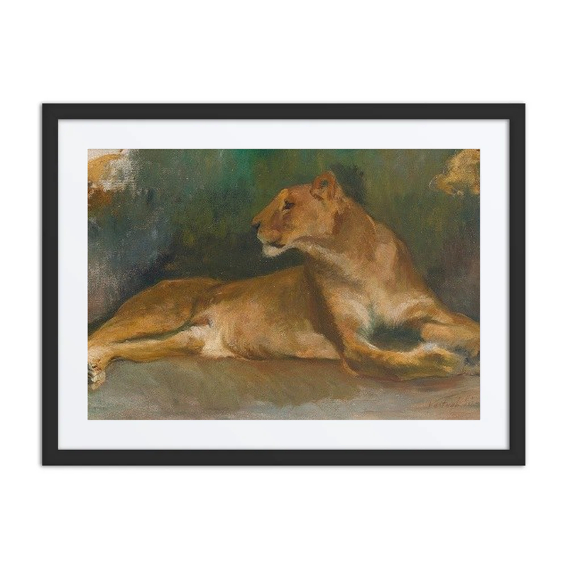 Resting Lioness