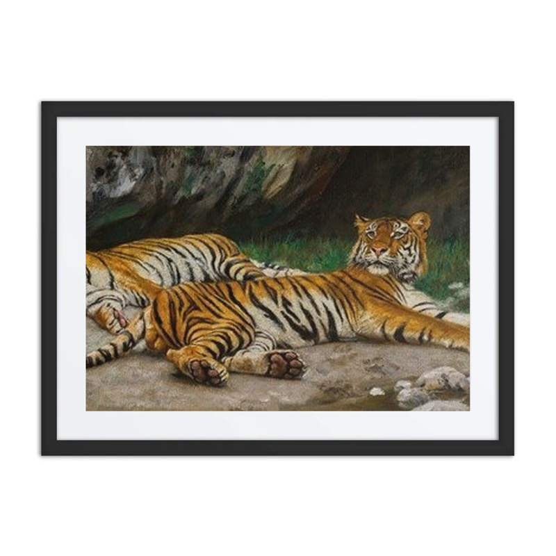 Resting Tigers