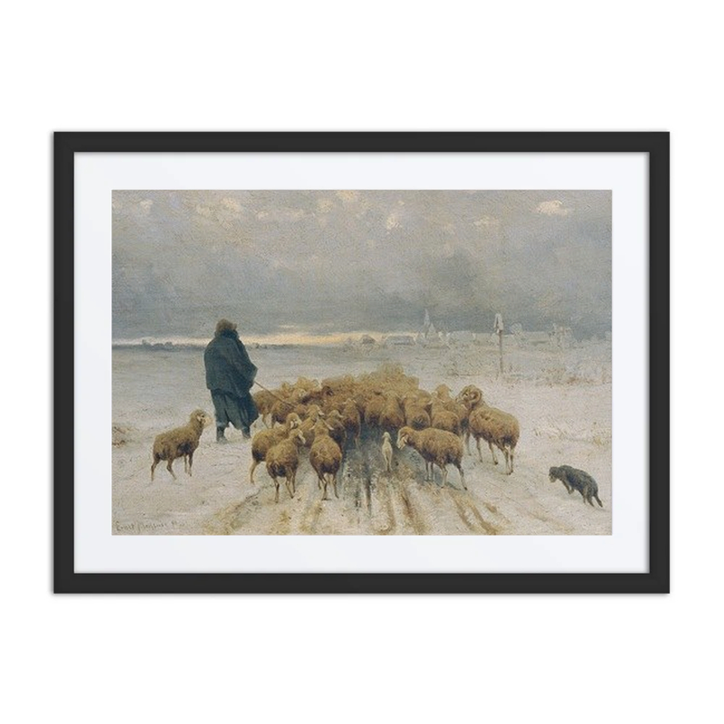 Returning Sheep Flock