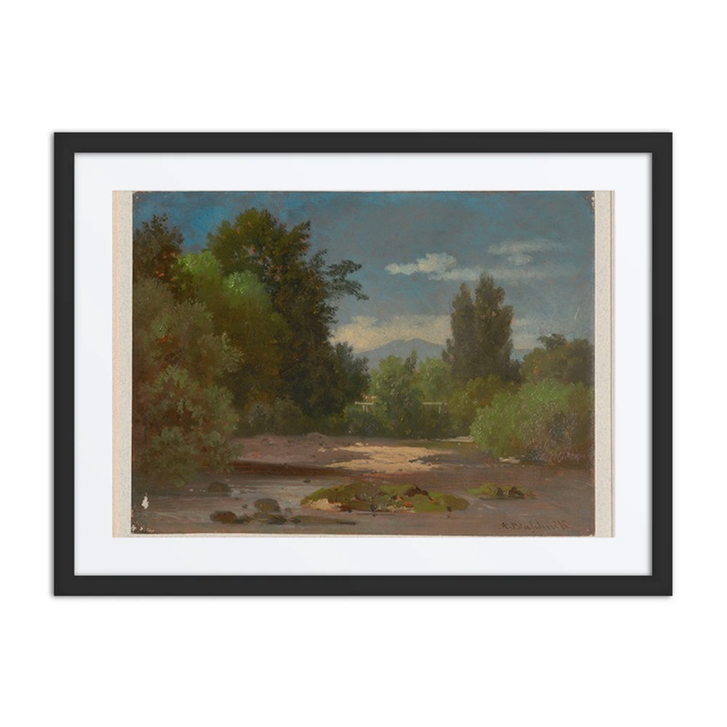 River Bend Overgrown with Trees