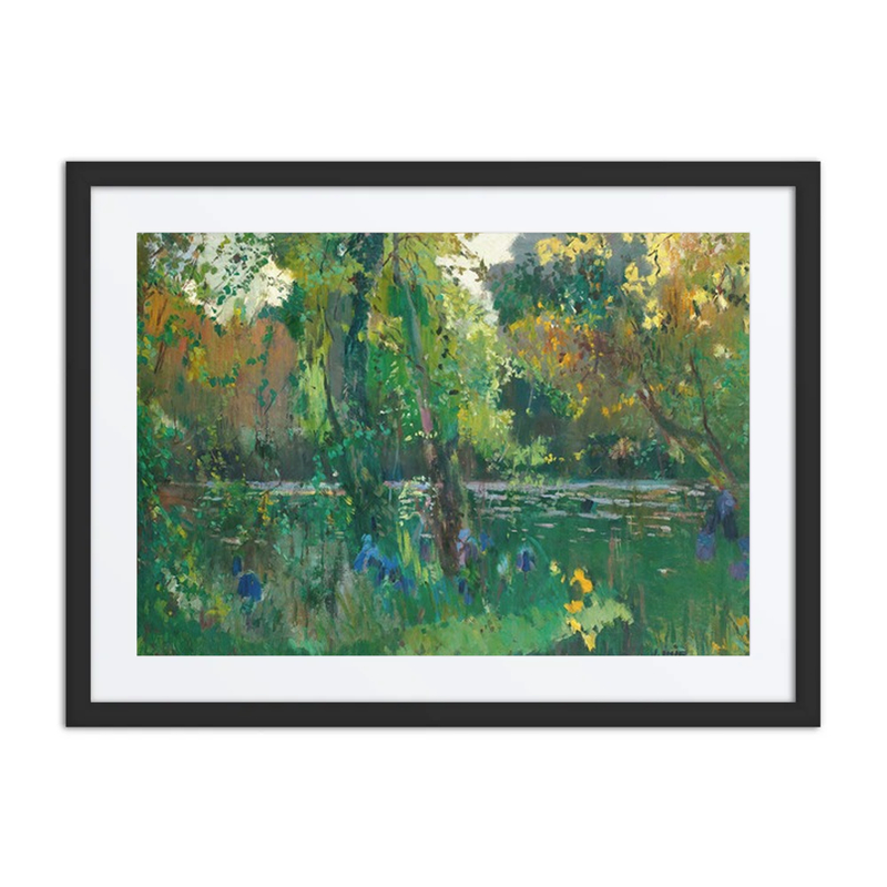 Riverbank in the Forest