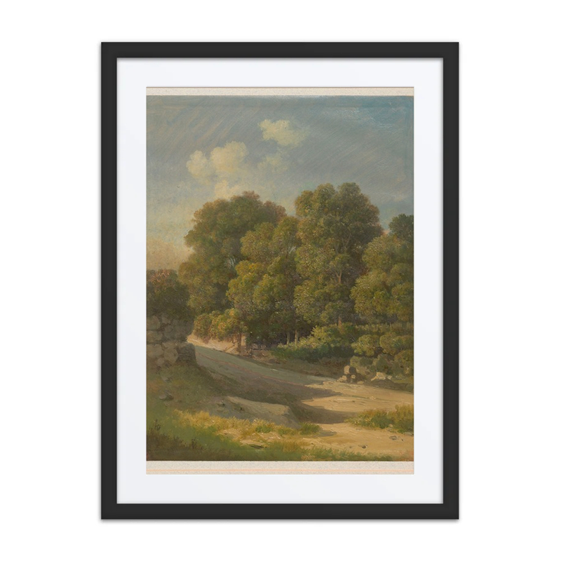 Road Among Trees