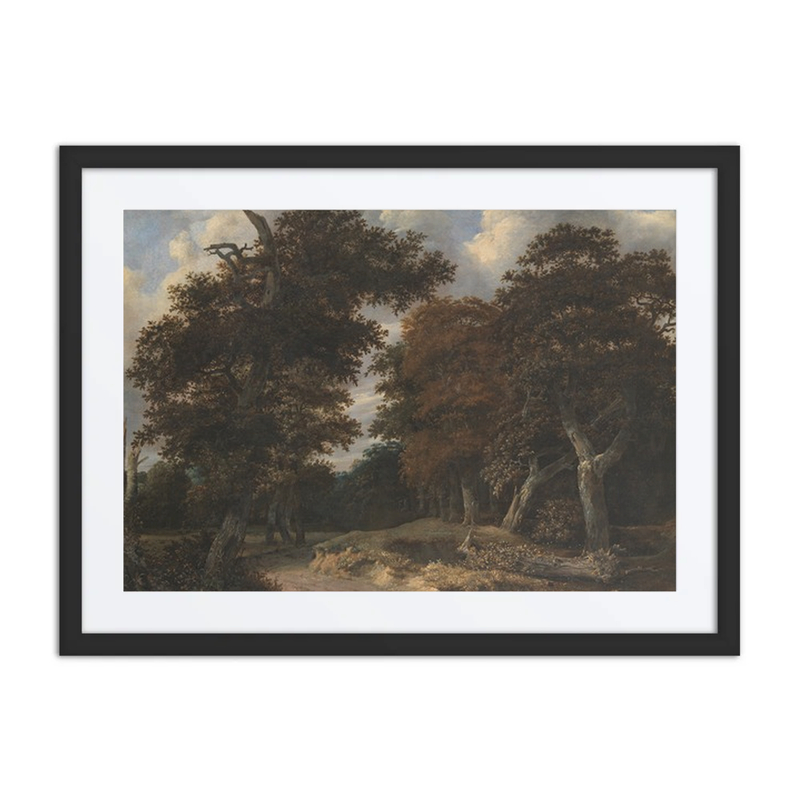 Road Through an Oak Forest